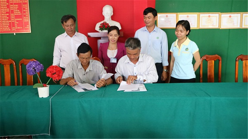 Đại diện công ty cổ phần TNB Việt Nam ký hợp đồng hợp tác sản xuất cùng nông dân