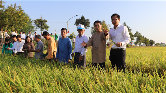 Lãnh đạo tỉnh Hậu Giang thăm mô hình canh tác lúa thông minh tại huyện Vị Thủy